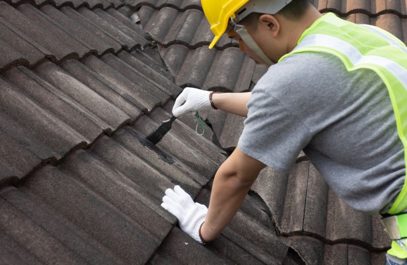 Roof Repair Specialists